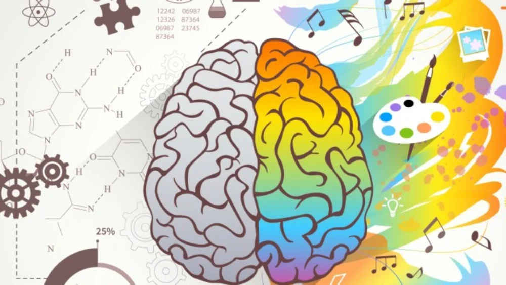 Aprovechamiento del Potencial Cerebral Humano