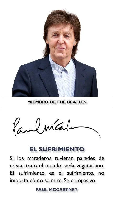 Citas Inspiradoras de Paul McCartney