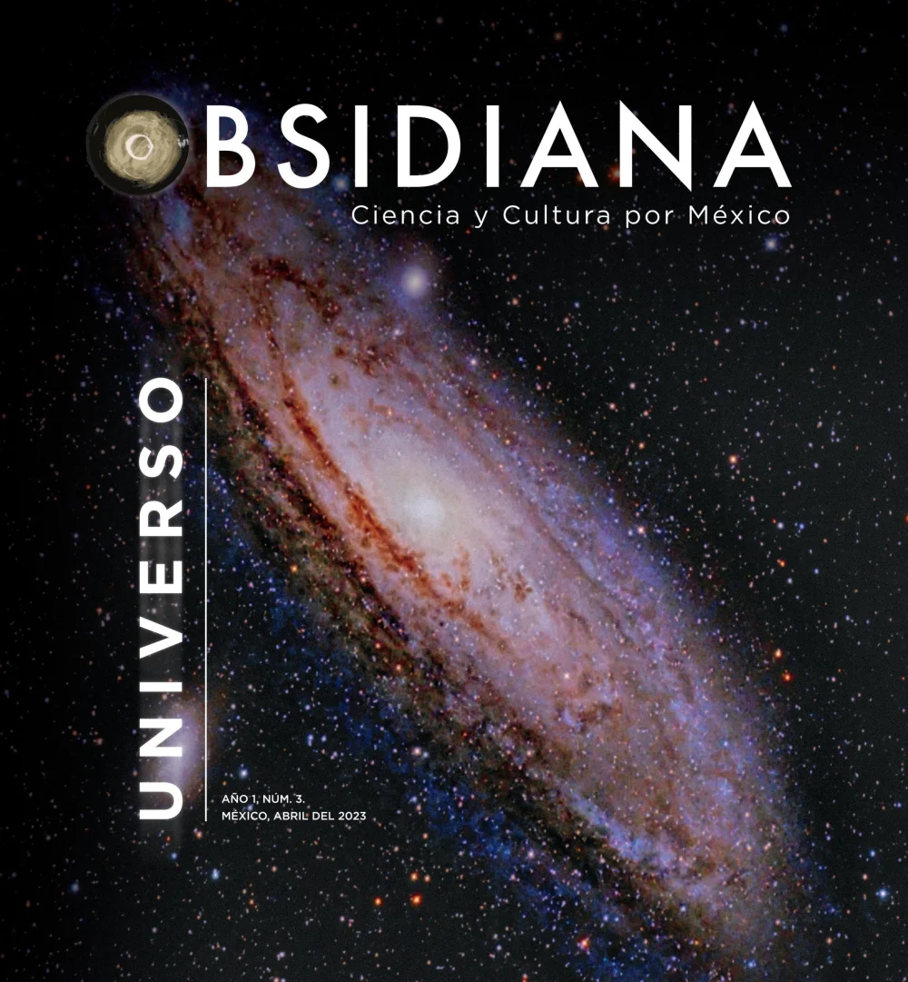 El Fenómeno Fascinante del Universo 25: Lecciones y Reflexiones