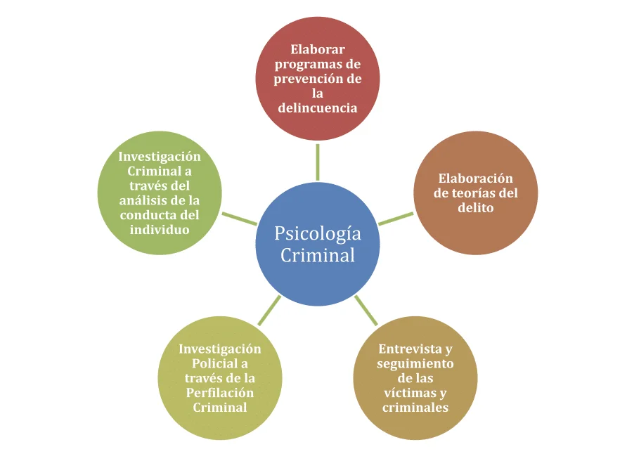 La mente del criminal: un análisis psicológico