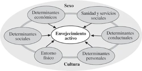 Perspectivas de la Psicología en el Proceso de Envejecimiento