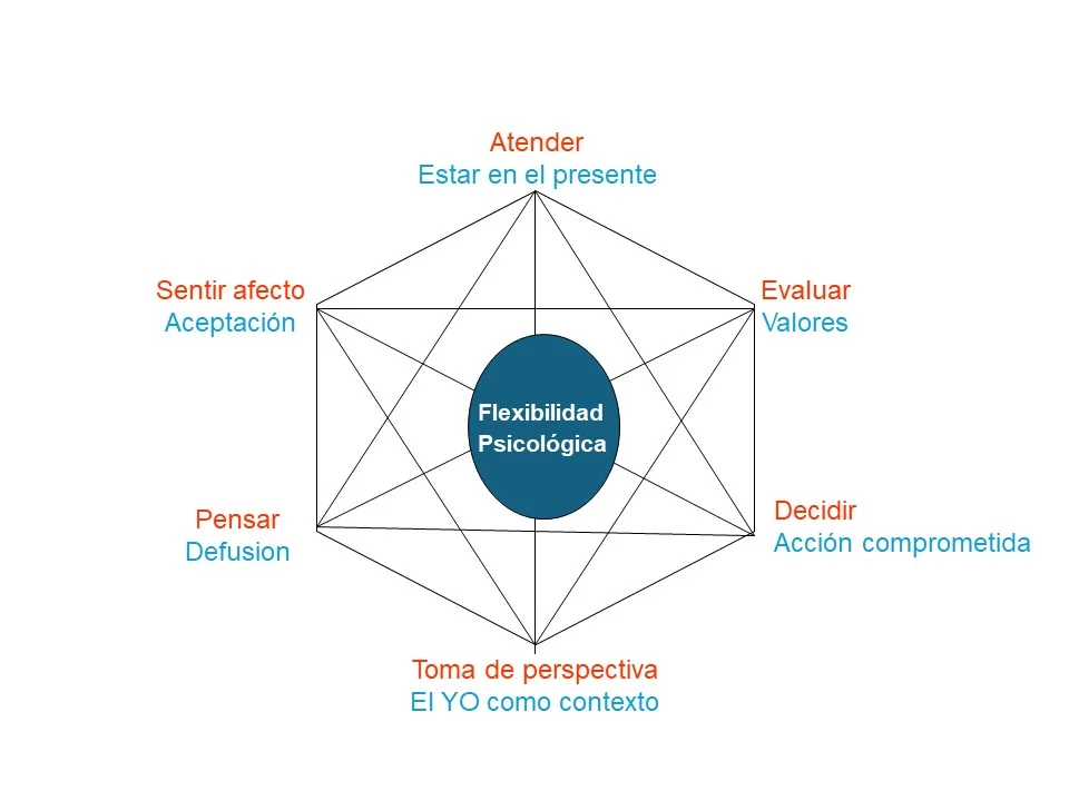 Profundiza en la Terapia de Aceptación y Compromiso