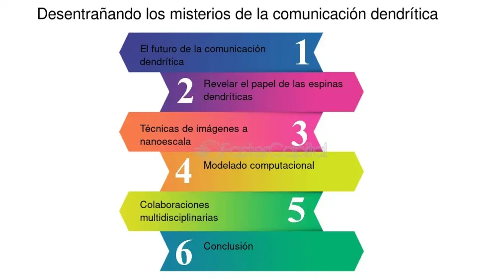 Profundiza en los secretos de la interneurona