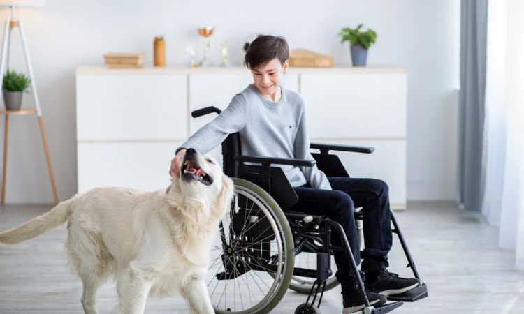 Terapia con animales: una intervención eficaz para la salud