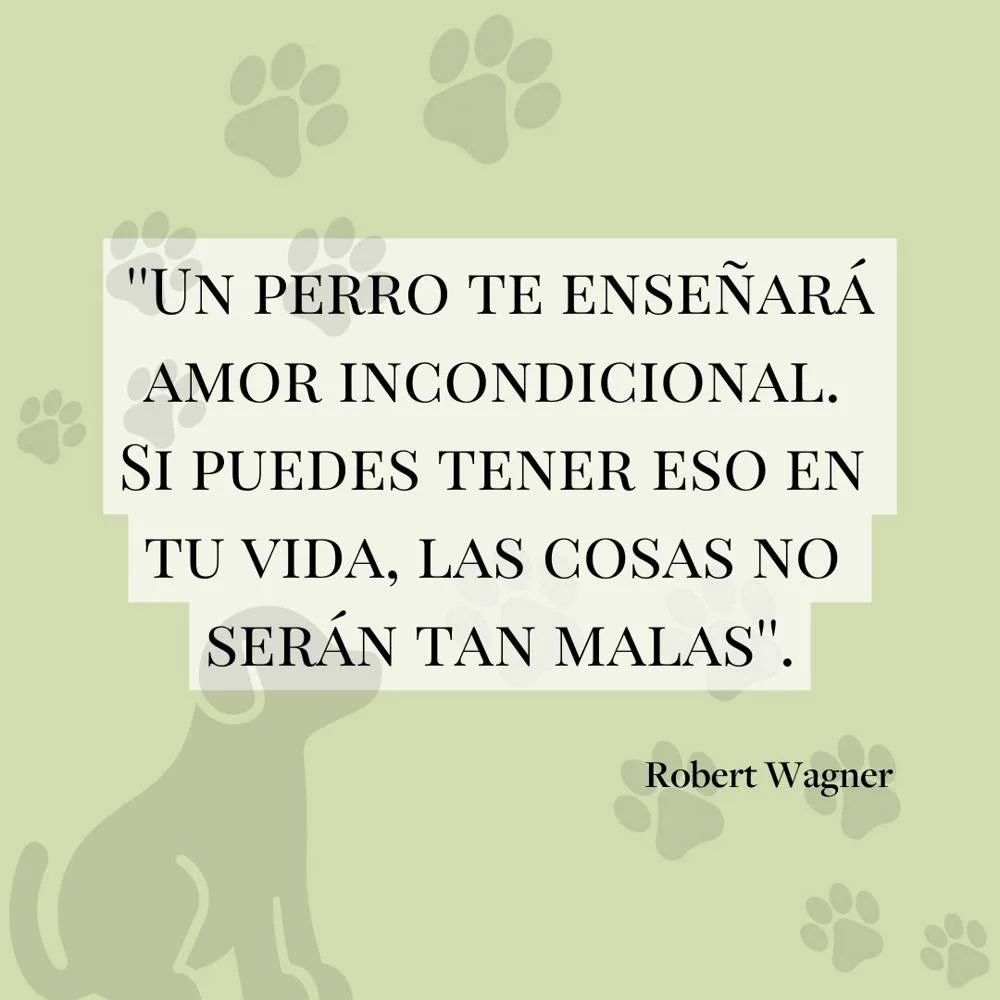 Citas Inspiradoras sobre Perros
