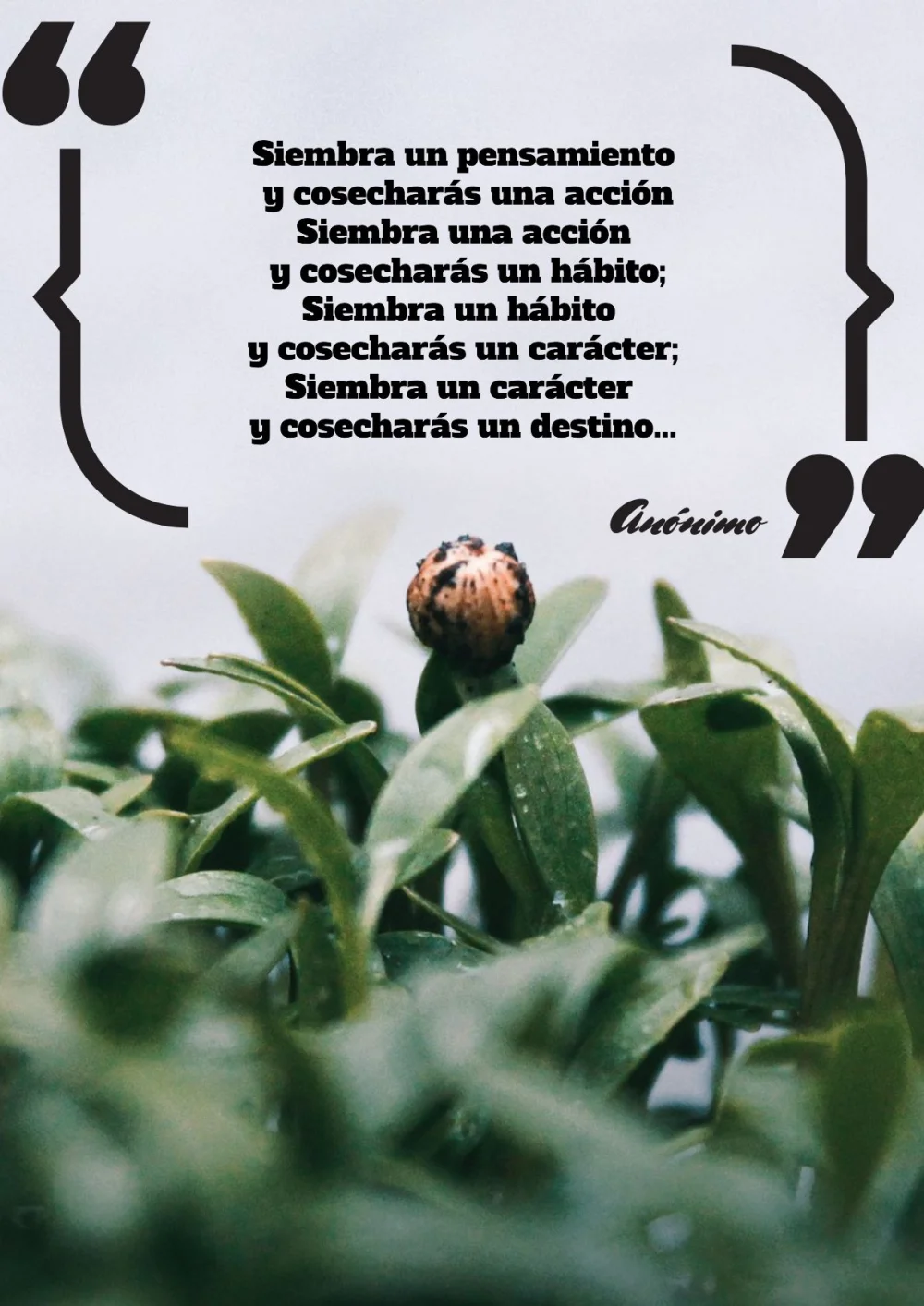 Frases para cultivar el perfeccionismo saludable