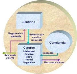 La Esencia Transformadora de la Psicología Humanista