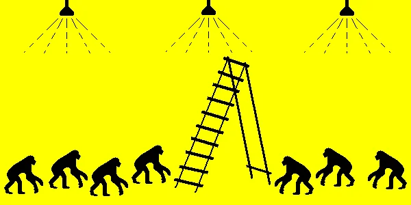 Monos plátanos y escaleras: el experimento sorprendente