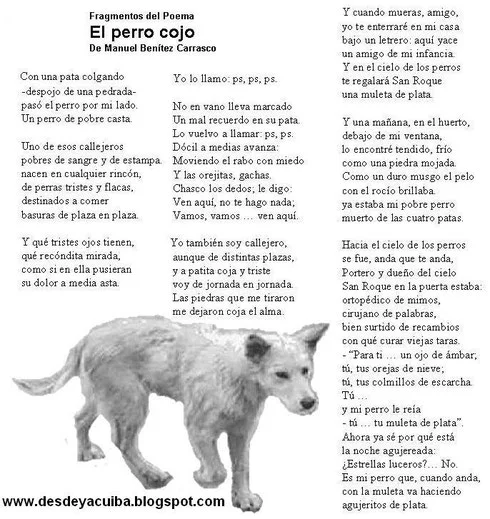 Perro Extraña: Sentimientos de un Amigo Fiel