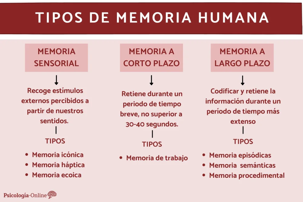 Tipos de memoria: características y clasificaciones principales