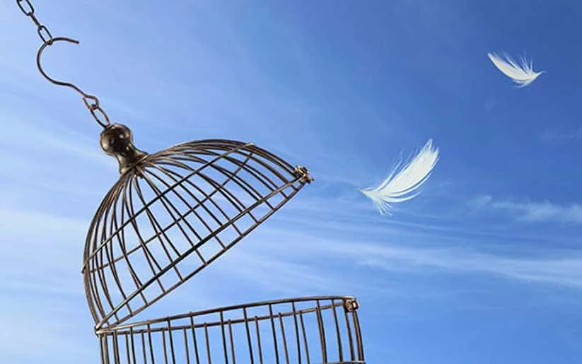 Ansiedad: Camino Interior hacia la Libertad Personal