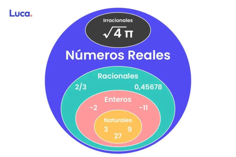 Categorías de los Números Reales: Guía Completa