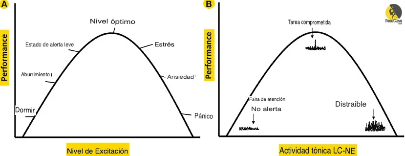 El poder del mindfulness en el deporte: el estado de flow