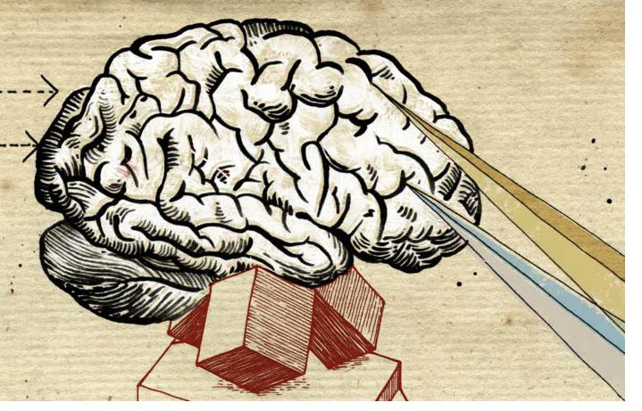 Perspectivas Ocultas en la Psicología Política