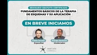 Profundiza en los Beneficios de la Terapia de Esquemas
