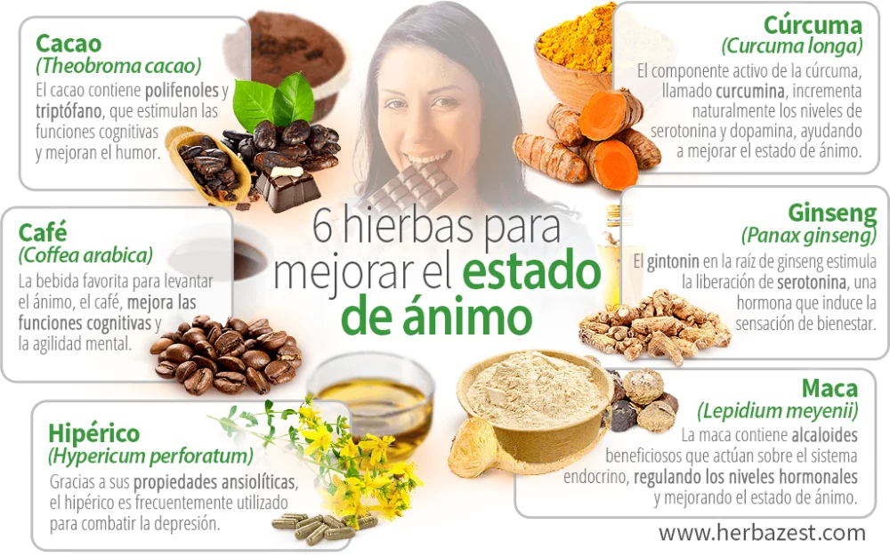 Remedios Naturales para Mejorar el Estado de Ánimo