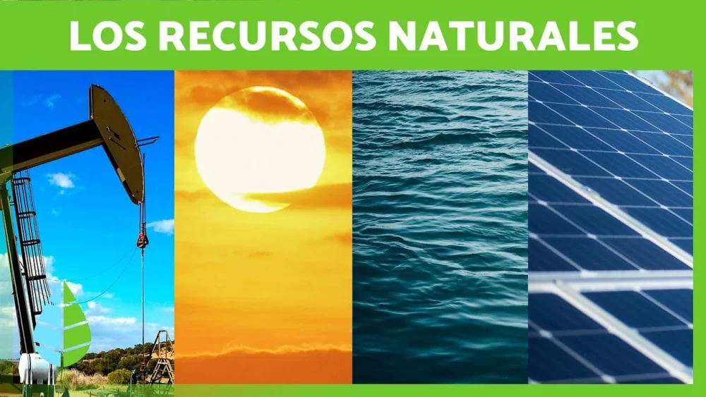 Clasificación Detallada de los Recursos Naturales