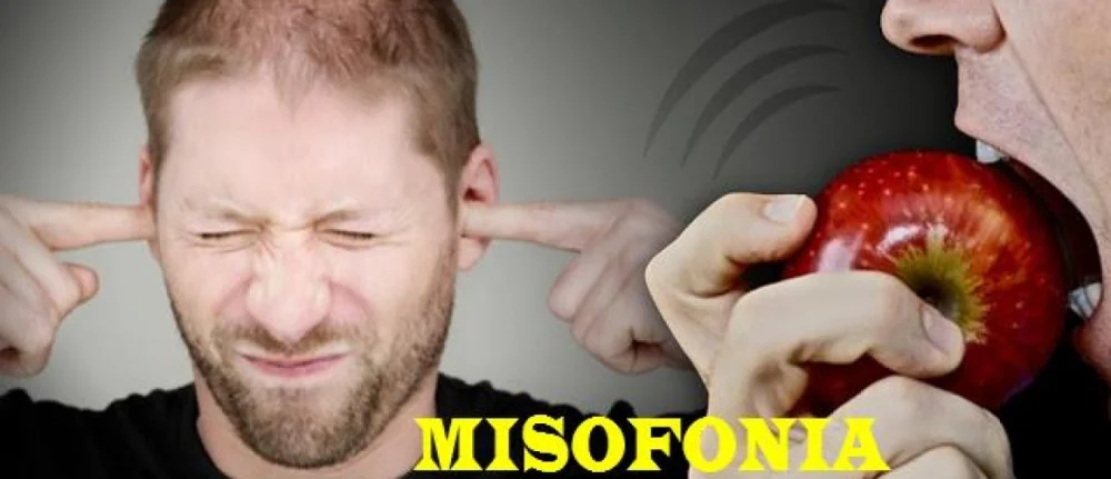 Comprende la Misofonía: Cuando los Sonidos Causan Molestia