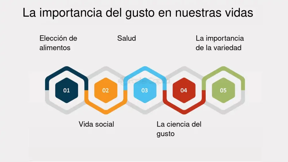 El Arte de Saborear: El Fascinante Mundo del Gusto
