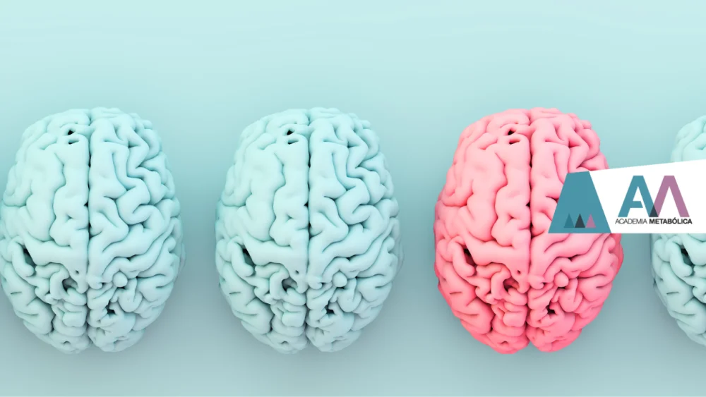 El Cerebro y el Papel del Factor Neurotrófico BDNF