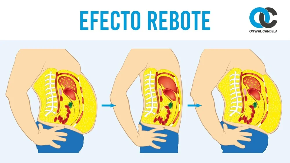 Impacto del efecto rebote en las dietas