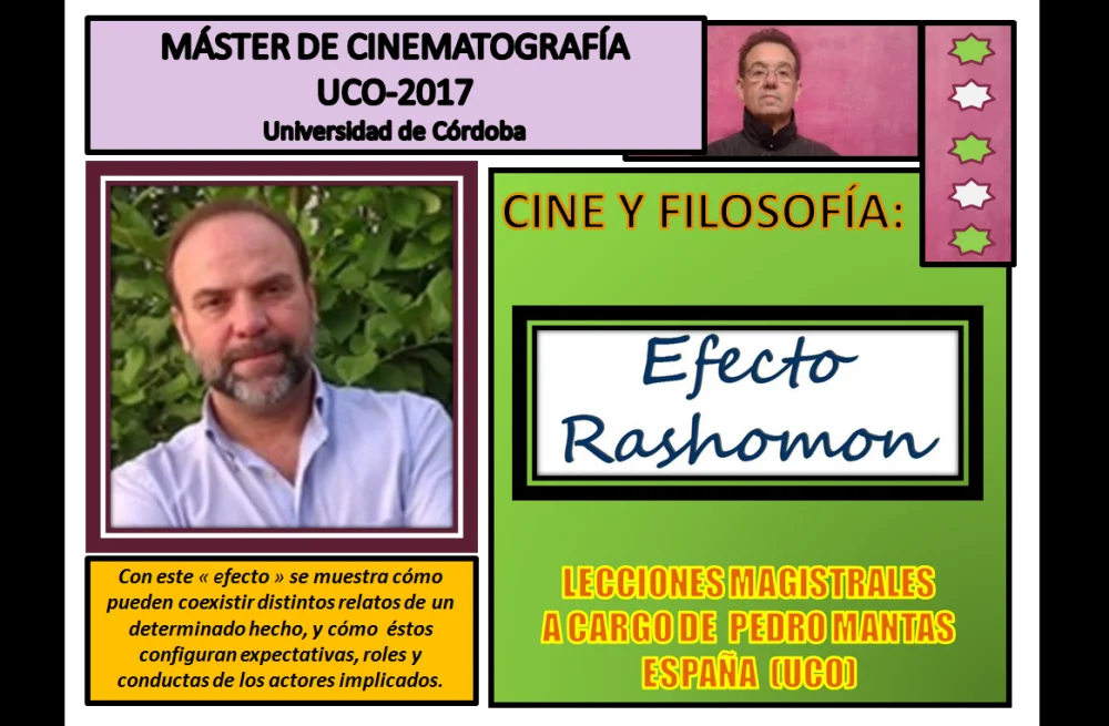 Perspectivas Cruzadas: El Impacto del Efecto Rashomon