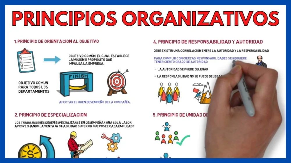 Propósito y principios fundamentales de la empresa