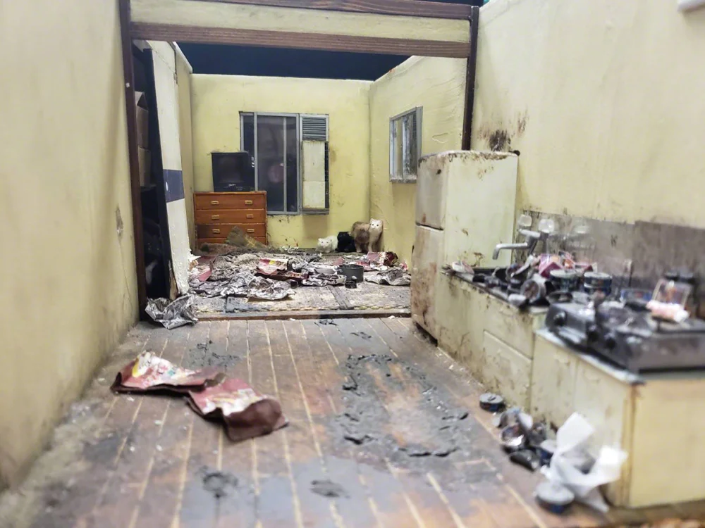 El fenómeno del kodokushi: Muerte en soledad en Japón