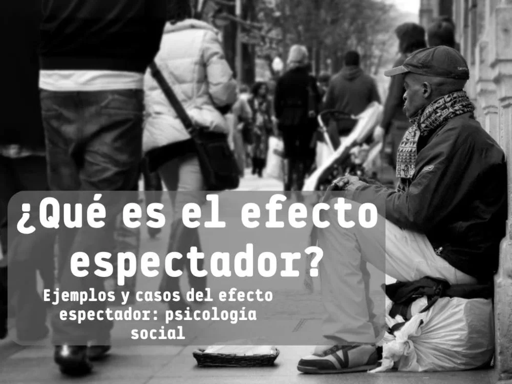 El impacto del efecto espectador en el caso Genovese