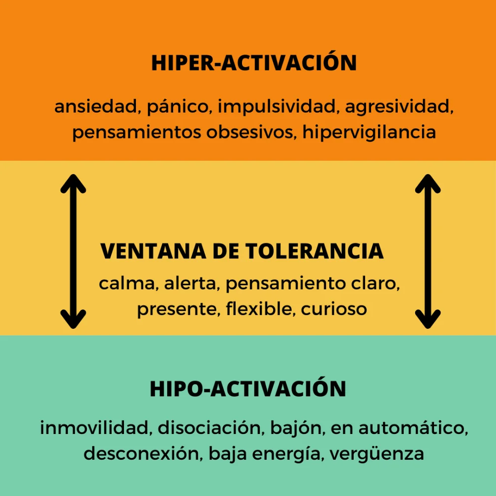 Estrategias para Ampliar tu Ventana de Tolerancia Emocional