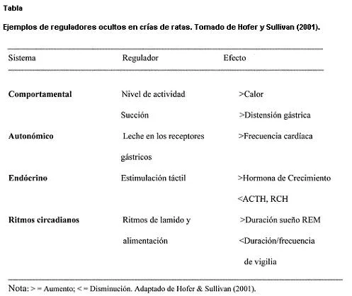 Profundiza en el fenómeno del apego patológico