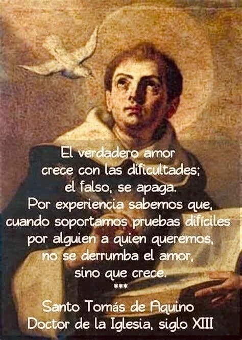 Reflexiones Inspiradoras de Santo Tomás de Aquino