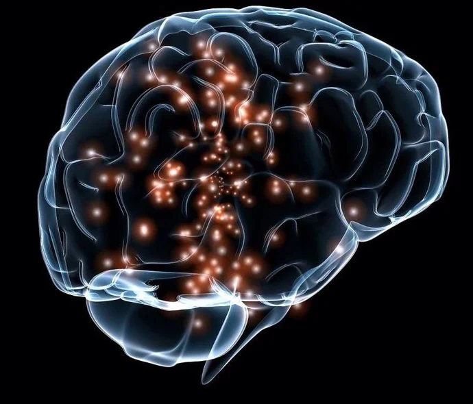 Secretos de los ventrículos cerebrales revelados