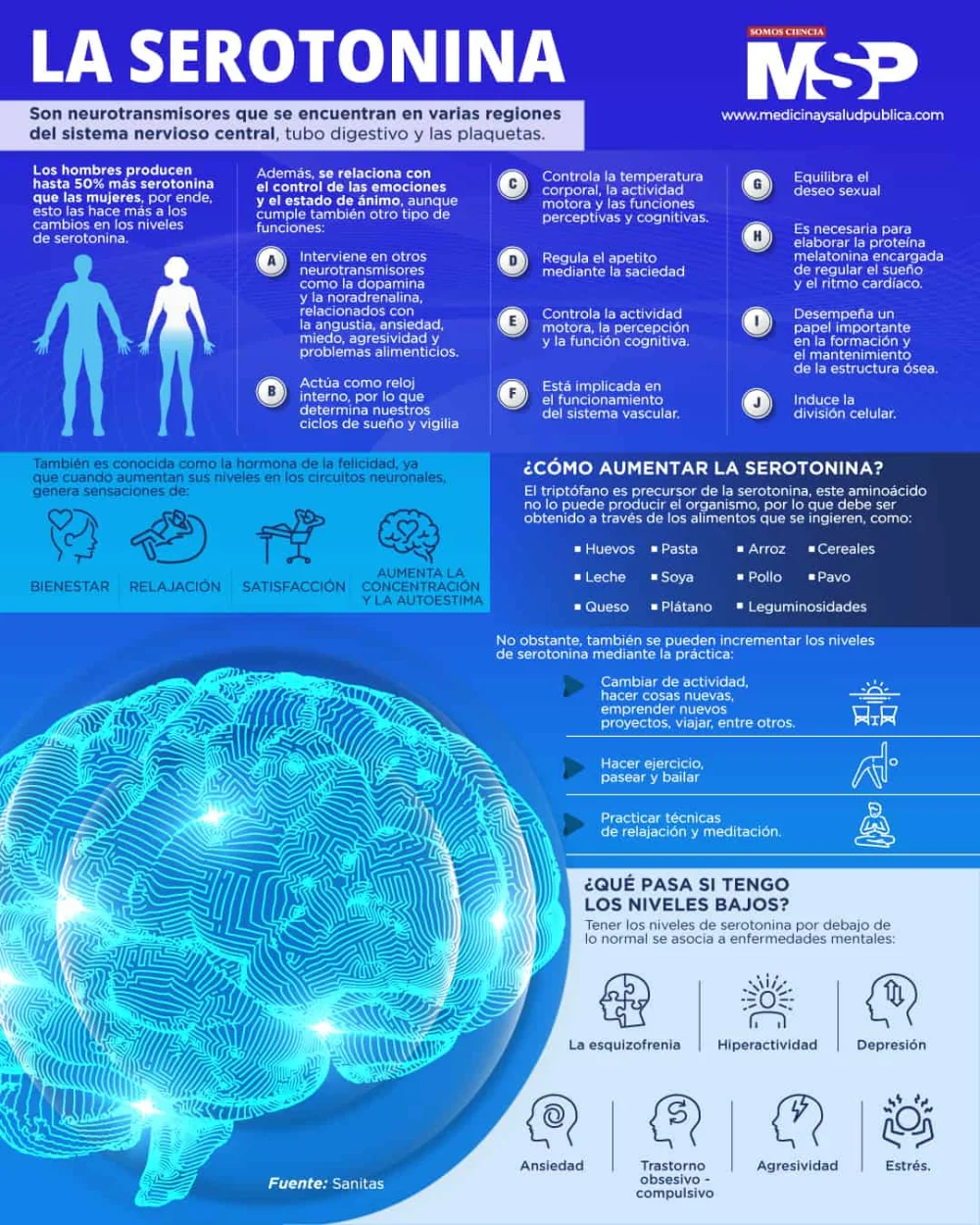 Serotonina: clave hormonal para el bienestar