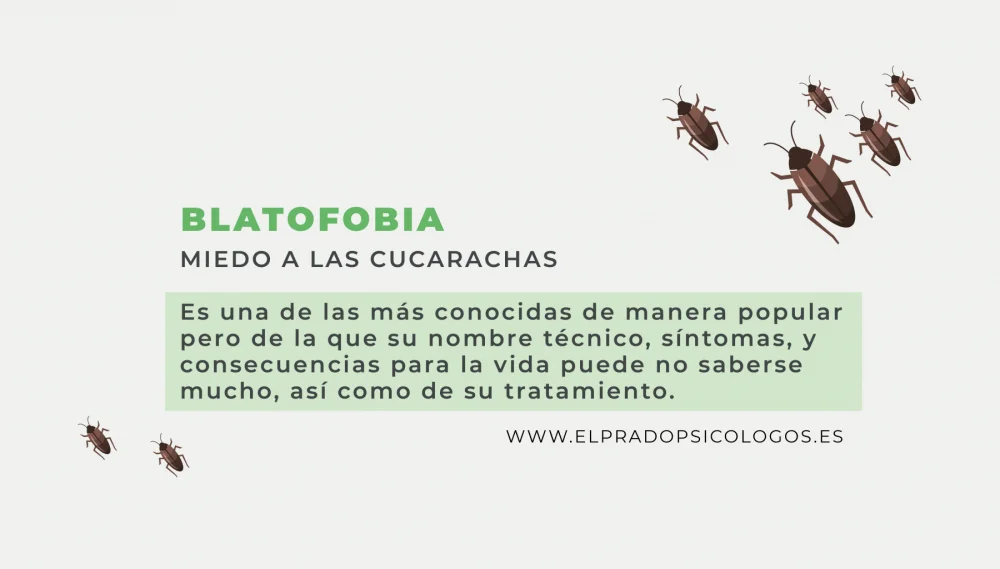Supera tu miedo a las cucarachas