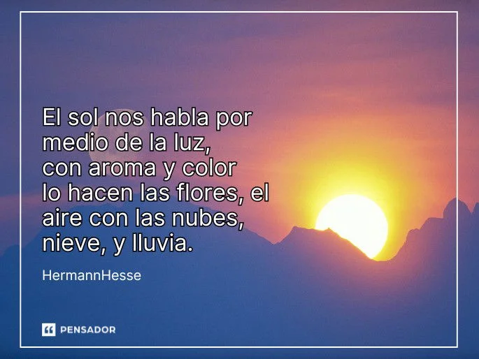 Frases brillantes que iluminan tu día