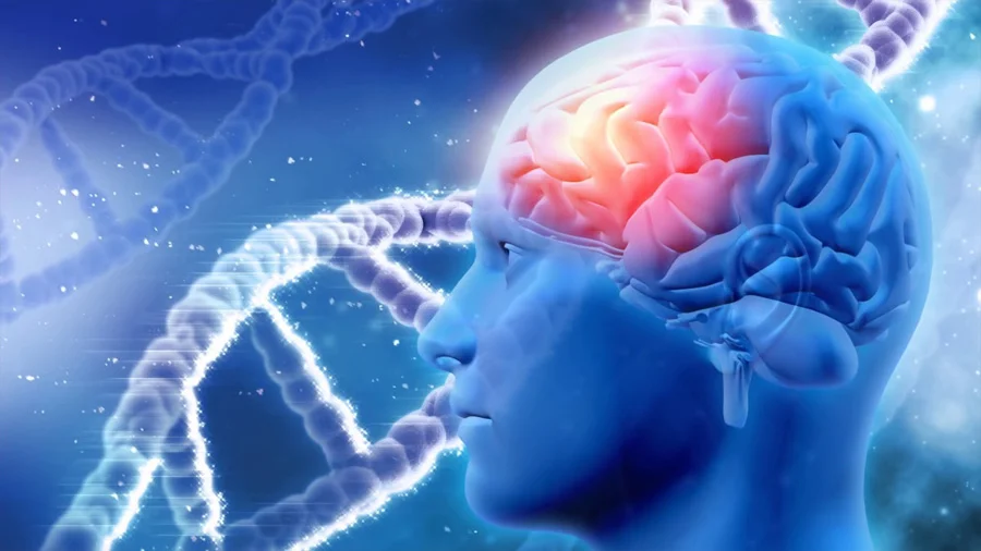 Genética: Clave en la inteligencia humana