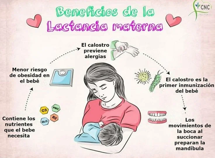Impacto de la lactancia materna en la cognición infantil