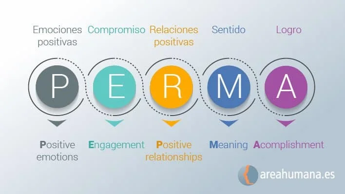 Impacto de la psicología positiva en el bienestar individual