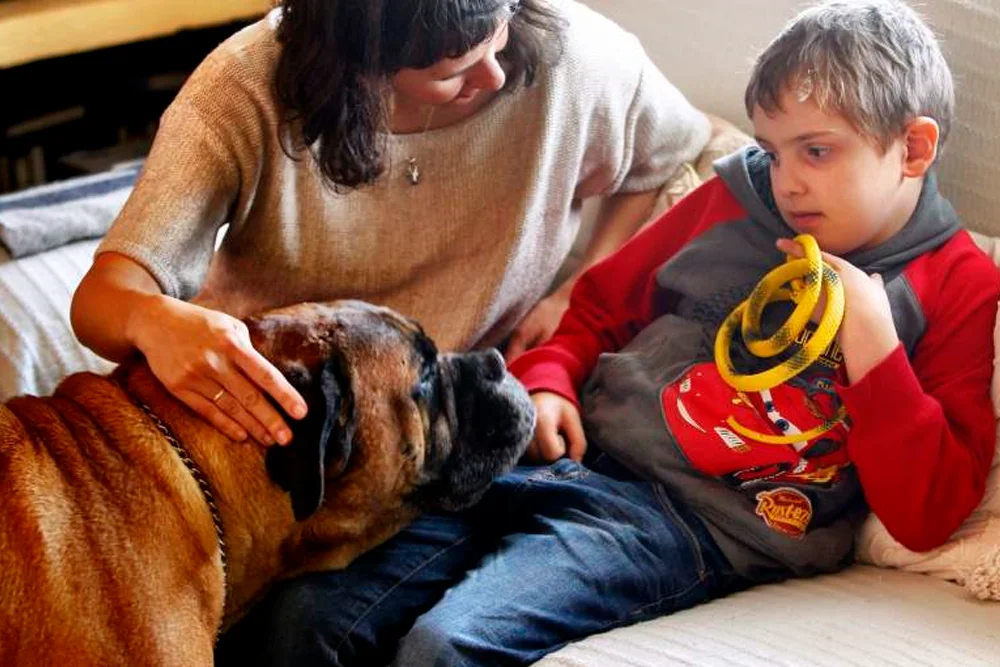 Impacto de las mascotas en niños con autismo