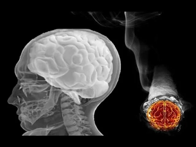 Impacto del tabaco en el cerebro humano