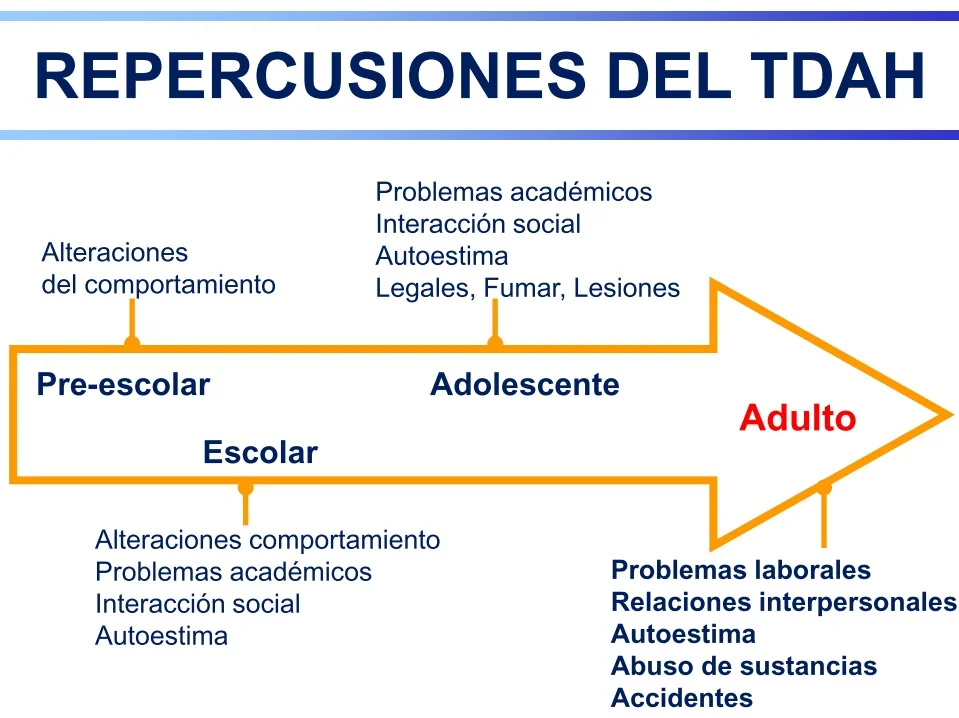 Impactos del TDAH durante toda la vida
