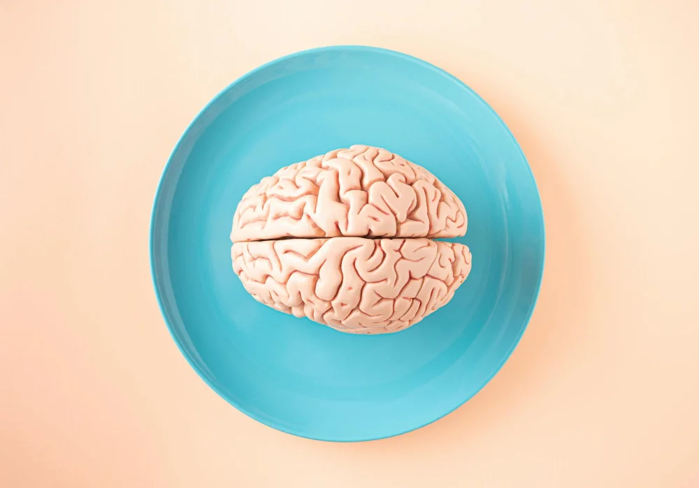 La neuroquímica del cerebro sano y equilibrado