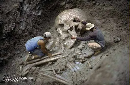 Misterios de los cuerpos mamilares desvelados
