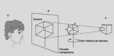 Profundidades de la percepción en la psicopatología