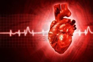 Señales Corporales de un Corazón Silencioso