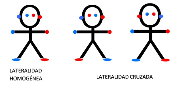Comprende la Importancia de la Lateralidad Cruzada
