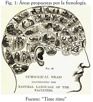 El enigma del fascículo arqueado: conexiones cerebrales