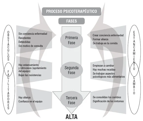 Etapas Esenciales en el Proceso Psicoterapéutico