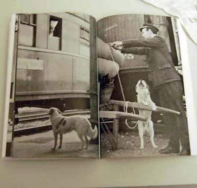 Lampo: El perro que recorría Italia en tren
